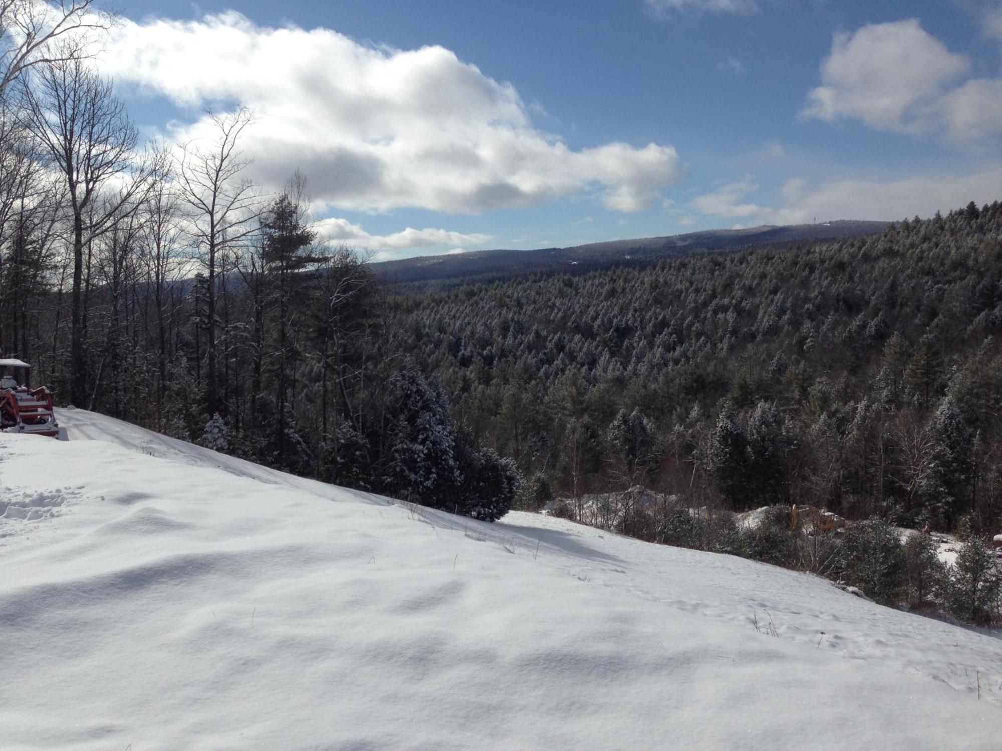 Adams Hill House Retreat - Artist-Architect'S Estate, Newfane Vermont 외부 사진