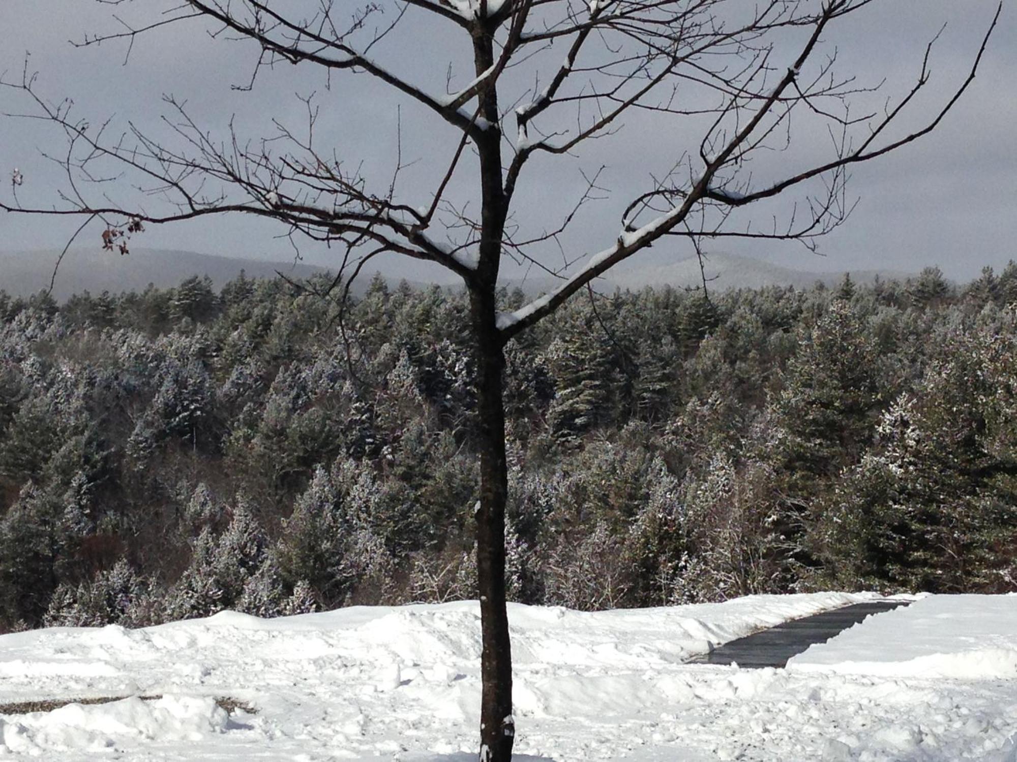 Adams Hill House Retreat - Artist-Architect'S Estate, Newfane Vermont 외부 사진