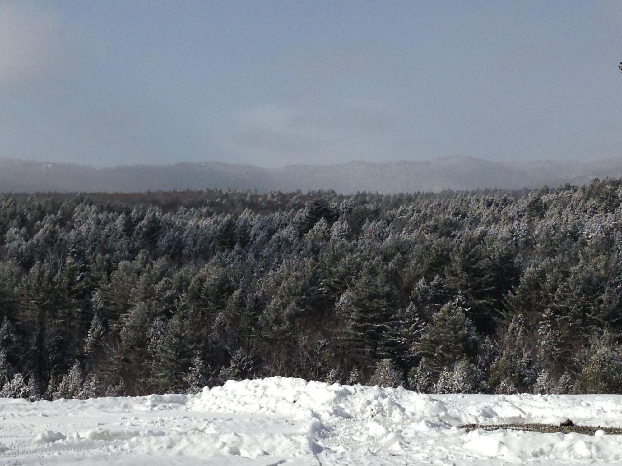Adams Hill House Retreat - Artist-Architect'S Estate, Newfane Vermont 외부 사진